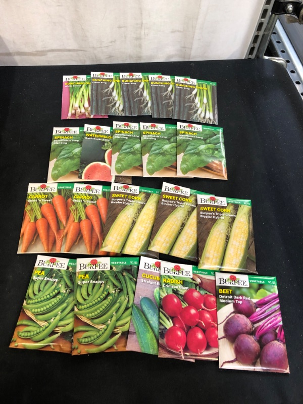 Photo 1 of 20PC LOT, VARIOUS SEEDS FOR PLANTING, SELL BY 11/22