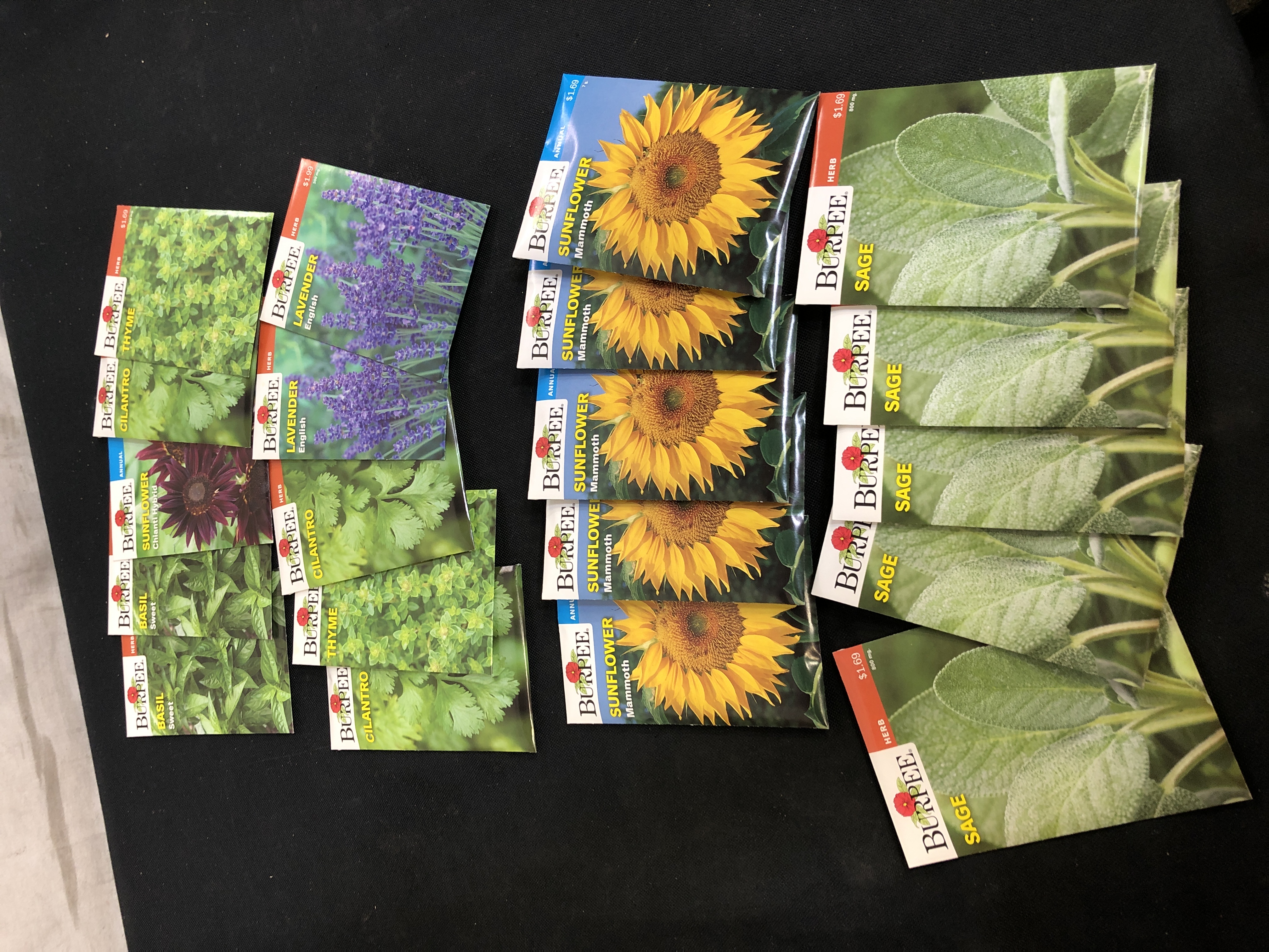 Photo 1 of 20PC LOT, VARIOUS SEEDS FOR PLANTING, SELL BY 11/22