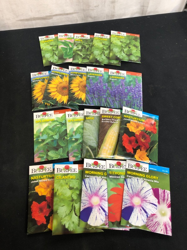 Photo 1 of 20PC LOT, VARIOUS SEEDS FOR PLANTING, SELL BY 11/22