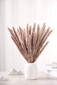 Photo 1 of Allure Life Gifts-Dried Pampas Grass Decor