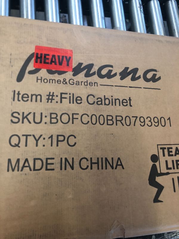 Photo 1 of FILE CABINET BOFC00BR0793901
