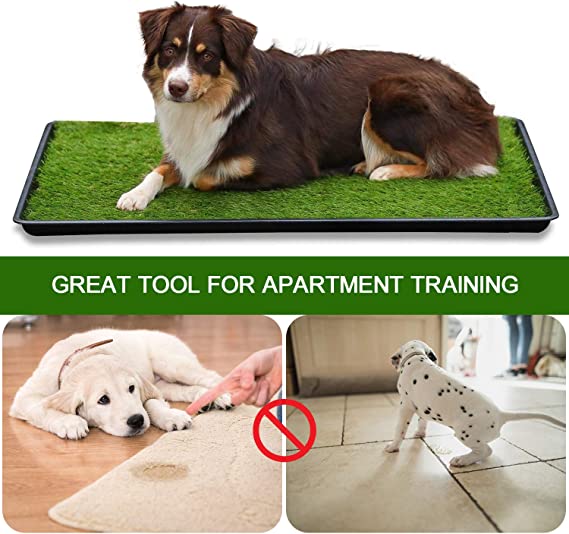 Photo 2 of LOOBANI 35in x 23in Extra Large Grass Porch Potty Tray, 2-Packs Replacement Artificial Fake Grass Puppy Training Pads- Portable Dog Patio Potty for Balcony/Apartment Use
