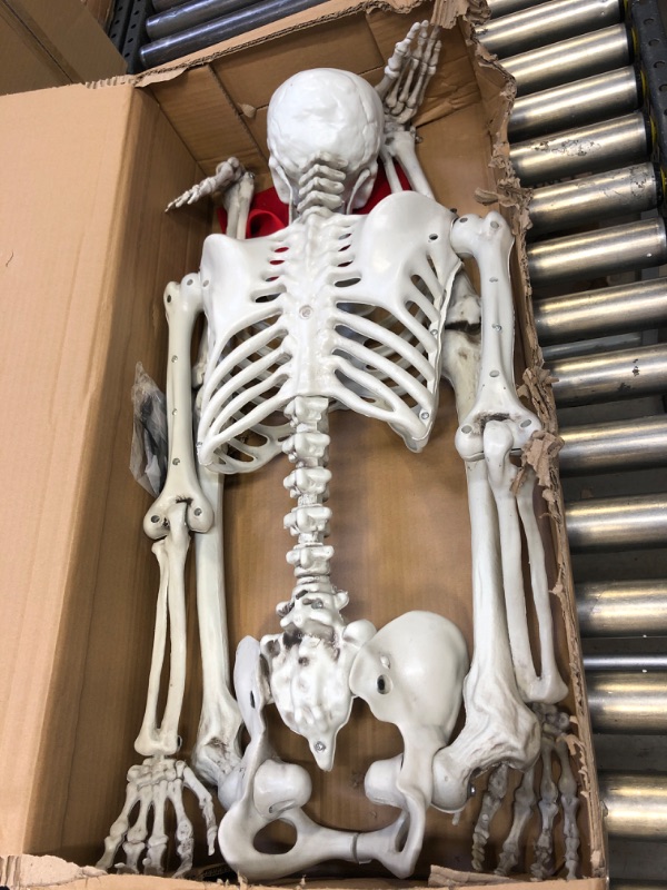 Photo 2 of 5 ft Pose-N-Stay Life Size Skeleton Full Body Realistic Human Bones with Posable Joints for Halloween Pose Skeleton Prop Decoration
