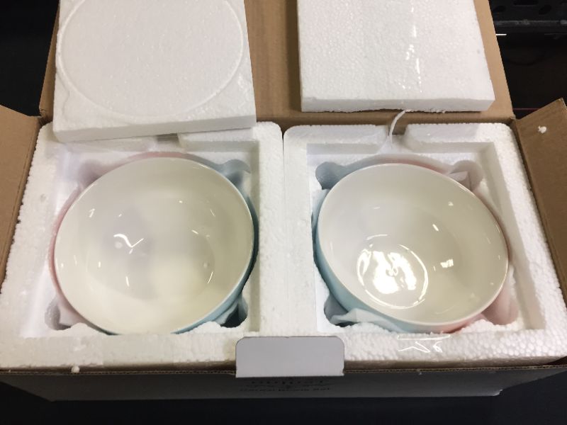 Photo 2 of DUJUST Pastel Pink & Blue Porcelain Dinner Bowls of 4, 6 inch (22oz), Fresh Design, Easter/Spring Feel, Easy to Clean, Great Durability for Cereal/Soup/Rice, Chip Resistant, Lead-Free & BPA-Free
(FACTORY SEALED BRAND NEW, OPEN FOR PICTURES)