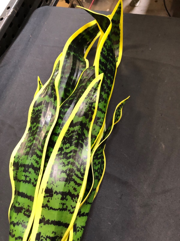 Photo 1 of artificial plant snake plant 25 inch tall