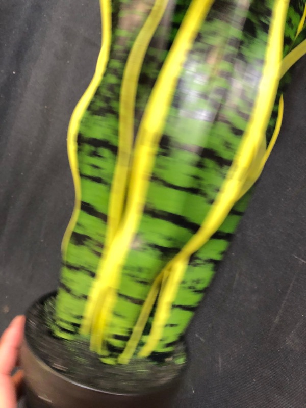 Photo 1 of artificial plant snake plant 25 inch tall