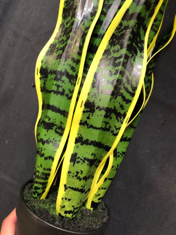 Photo 1 of artificial plant snake plant 25 inch tall