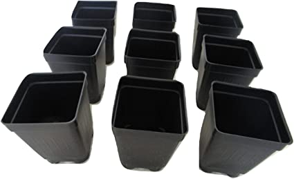 Photo 1 of 2.5" Square Extra Deep Landmark Nursery Pots - Press Fit (800)
