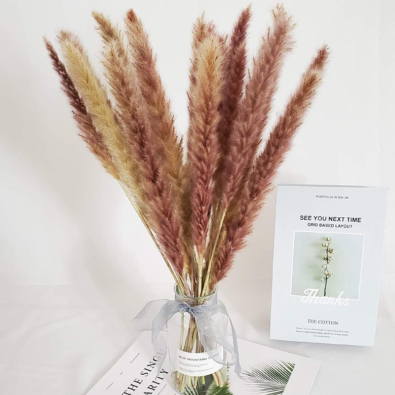 Photo 1 of 30 Pcs Natural Dried Pampas Grass Reed Grass Plume Dried Flower Phragmites Communis for Wedding Flower Arrangements Home Decor
