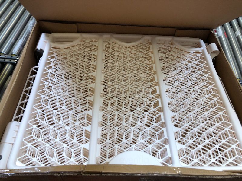 Photo 1 of Evenflo Versatile Play Space (Cream) Style: 6 Panel

