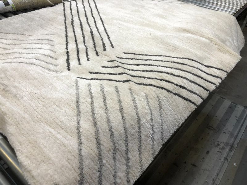 Photo 1 of 60x80 rug---item is dirty/needs to be cleaned---has black marks---