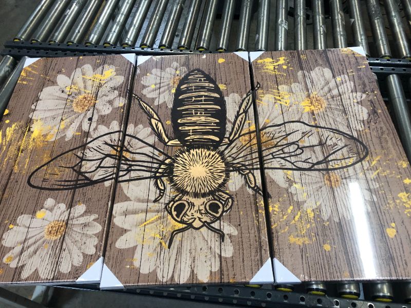 Photo 3 of 3 Panel Honey Bee Canvas Wall Art Gold Bumblebee Insect with Rustic Daisy Flower Poster Prints Wood Background Artwork for Farmhouse Home Kitchen Living Room Decoration Gallery Wrap
Color: Brown

