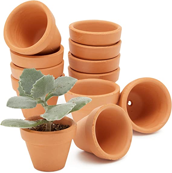 Photo 1 of 10 PCS Mini Terracotta Pots with Drainage Holes for Plants, Succulent, Cactus (1.5 in)
