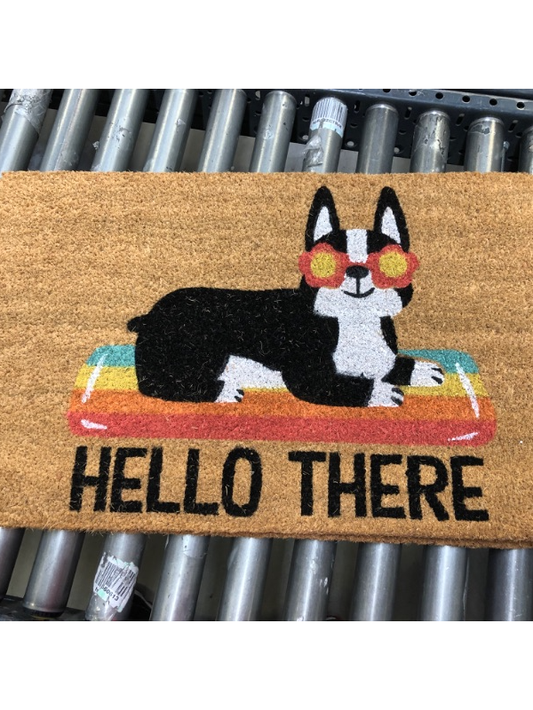 Photo 2 of 16x26 Hello Summer Dog Doormat Natural - Threshold----pack of 2 