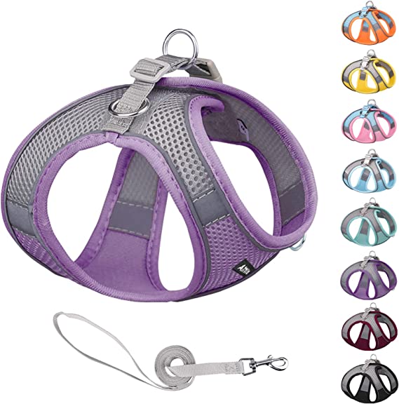Photo 1 of AIITLE Pet Supply No Pull, Step in Adjustable Dog Harness with Padded Vest for All Weather, Easy to Put on Small and Medium Dogs Purple Size S
