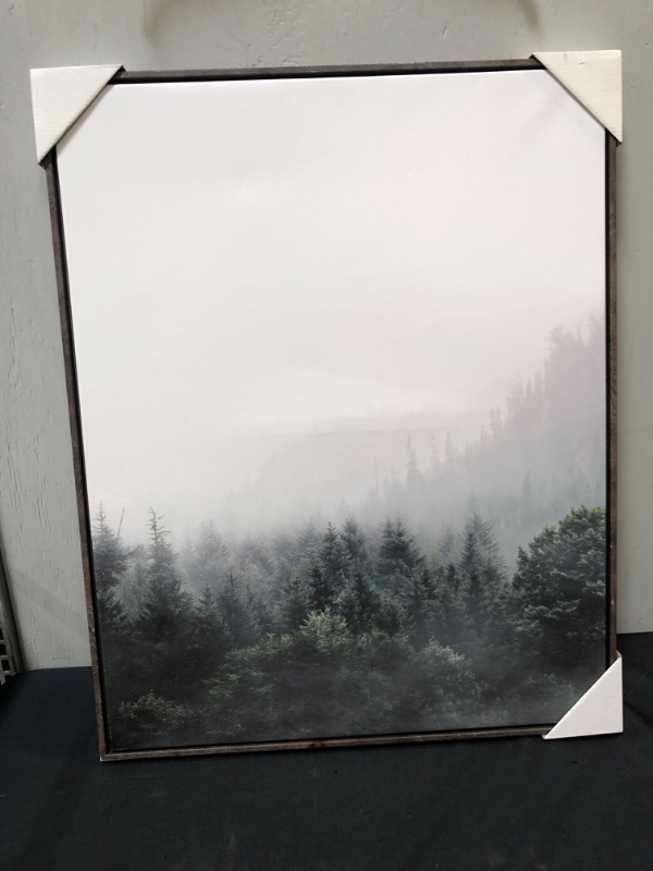 Photo 1 of 24" x 30" Mystic Forest Framed Canvas - Threshold
