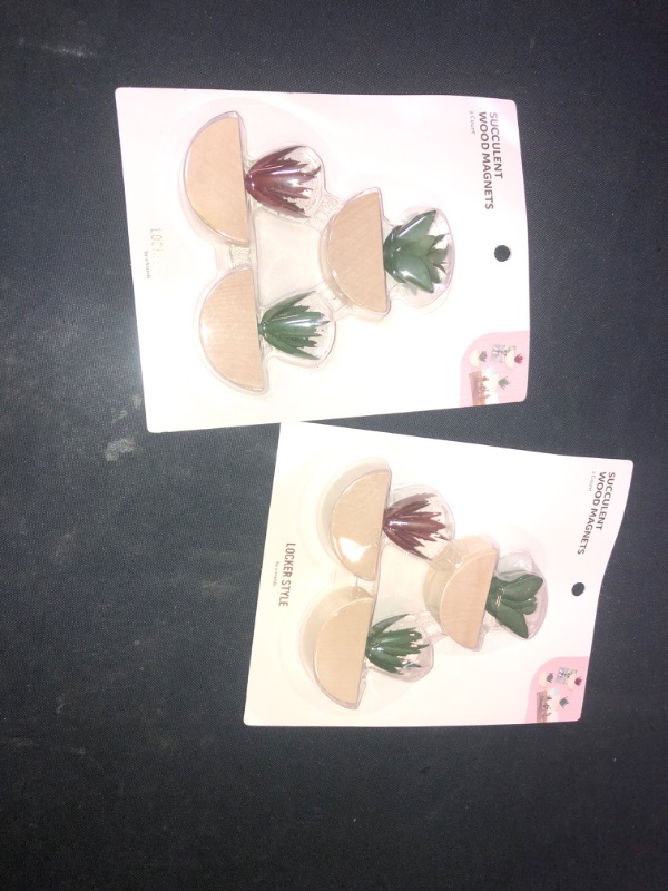 Photo 2 of 	3pk Succulent Locker Magnets - U Brands 2 COUNT 