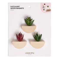 Photo 1 of 	3pk Succulent Locker Magnets - U Brands 2 COUNT 