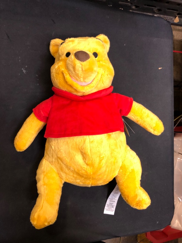 Photo 2 of Disney Winnie the Pooh Plush

