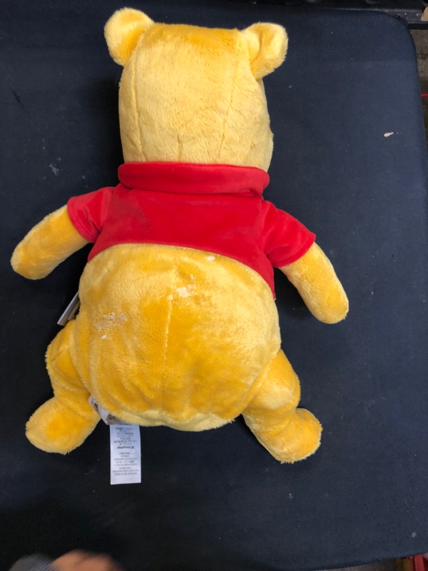 Photo 3 of Disney Winnie the Pooh Plush

