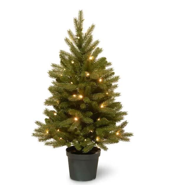 Photo 1 of 3 ft. Jersey Fraser Fir Artificial Christmas Tree with Battery Operated Warm White LED Lights
