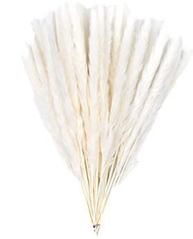 Photo 1 of 60 Pack Pampas Grass Boho Decorations, 17.3 inch/44cm Natural Dried Pampas Grass Branches for Boho Party Decor Home Kitchen Garden Photographing Flower Arrangement Vase Decor