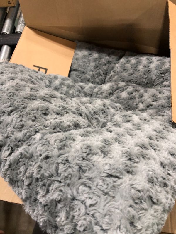 Photo 1 of 277393 40630Sgb Qt Ombre Sweet Bed 29X21
