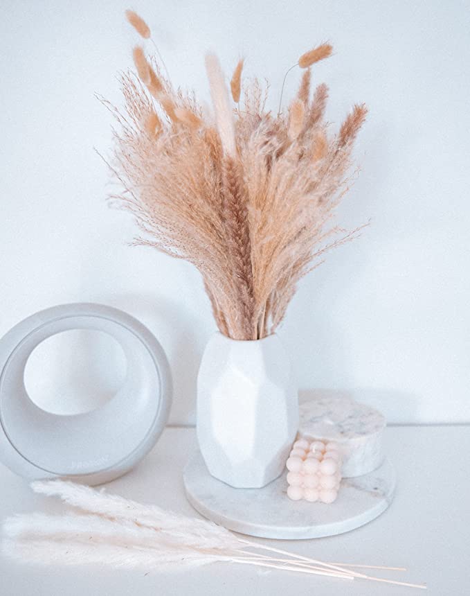 Photo 1 of 85pcs Pampas Grass Bouquet - Includes Real Dried Tall & Small 30 Reeds, 20 White Pampas, 20 Primary Colors, 15 Fluffy Bunny Tails for Beautiful Natural Decor