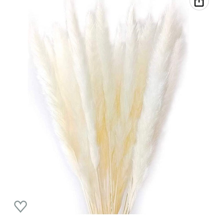 Photo 1 of 60 Stems 22 Inch Natural Dry Flowers Small Pampas Grass, Phragmites Communis, Dried Flowers Bouquet for Wedding Floral Arrangements Home Decorations (White)