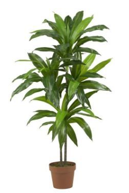 Photo 1 of 3.5ft Artificial Dracaena Silk Plant in Pot - Nearly Natural