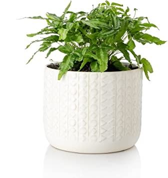 Photo 1 of 6.6 Inch Pots Perfect for Indoor Outdoor Plants, Ceramic Flower Pot with Drainage Hole…