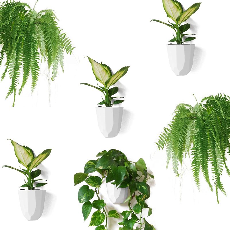 Photo 1 of Make Good Virgo Wall Planters (Geometric, Set of 6) - Lightweight and Easy to Install - Design Your Own Vertical Garden - Melamine Plastic
