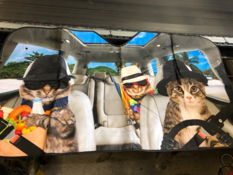 Photo 2 of Animal Cat Driving Car Windshield Sunshade Foldable Auto Front Window Sun Shade Sunshield SUV Trucks Vehicle Block UV Rays Sun Visor Protector for Men Women Car Truck 51x27.5 in -1