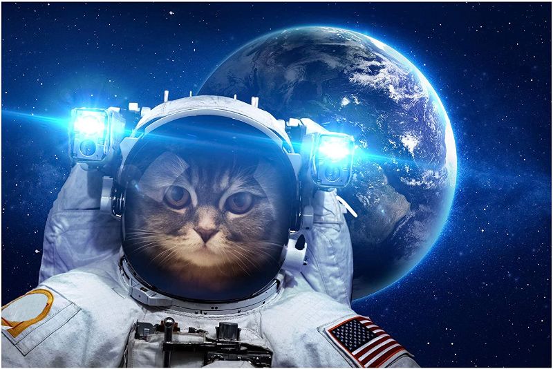 Photo 1 of AlTalent Space Astronaut Cat Puzzle -1000 Piece Jigsaw Puzzle for Adult Kids Pet Puzzle for Cats Educational Intellectual Decompressing Fun Family Game,DIY Mural Toys Gift,Artwork,Sci-Fi Cat Puzzles
