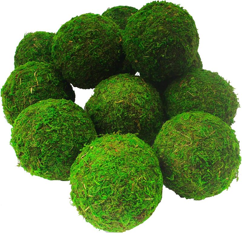 Photo 1 of AMEICE Decorative Authentic Real Preserved Moss Hanging Balls (3.2" Green 6Pcs?