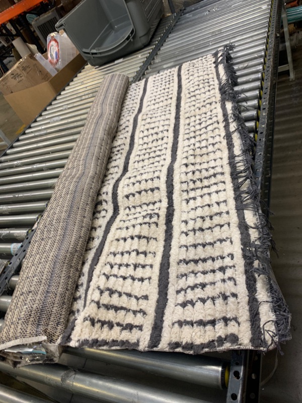 Photo 1 of 4'x6' Area Rug, No Box Packaging, Moderate Use, Creases and Wrinkles in Item, Hair Found on Item, Tape on Item, Dirty From Previous Use