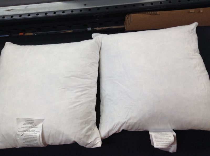 Photo 1 of 2pack Pillow Insert 18x18