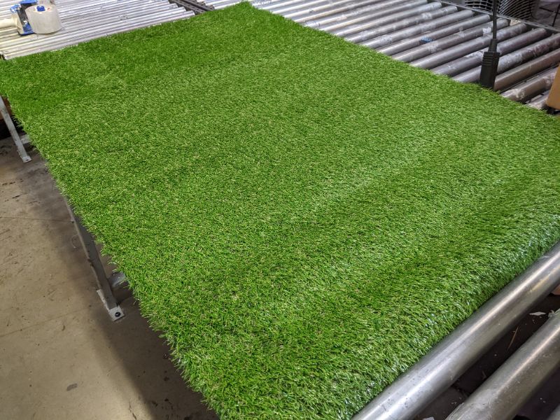 Photo 1 of 3'X5' Turf Rug