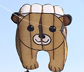 Photo 1 of Fullfar Bear Kite for Kids Easy to Fly, Soft Nylon Material in 196 inch/5m Long with Y-Shaped Fuzzy Tail.Parafoil Kite for The Beach and Outdoor Activities.
