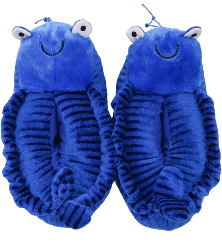 Photo 1 of BLEUNUIT TODDLER AND WOMENS SLIPPERS BLUE SIZE UNKNOWN