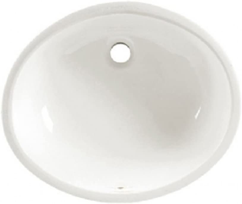 Photo 1 of American Standard 0496.300.020 Ovalyn 19-1/4 by 16-1/4-Inch Under Counter Lavatory Sink, White
