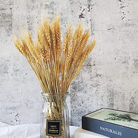 Photo 2 of 5 item bundle home decoration bundle 
wheat sheaves and natural dried flowers 