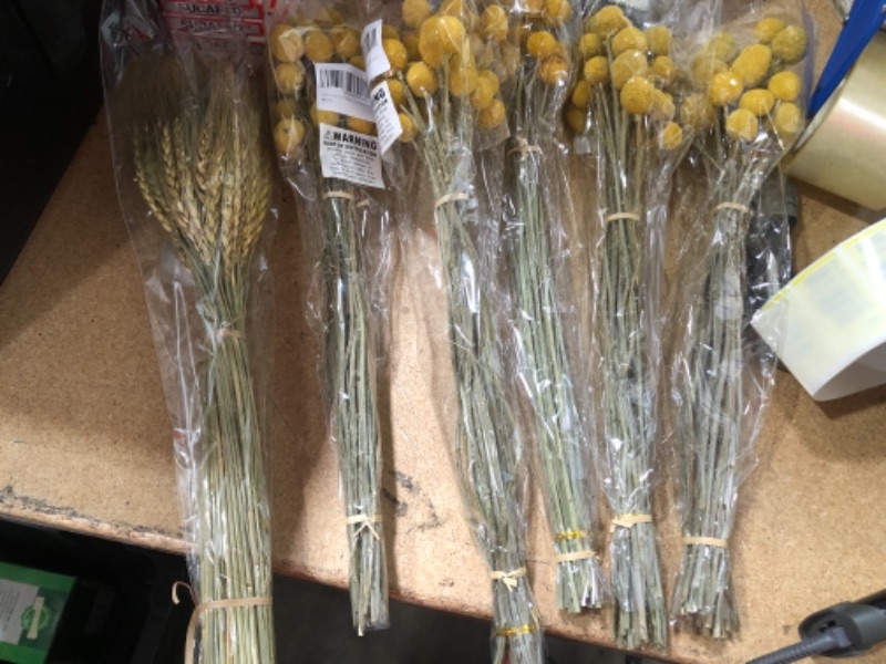 Photo 1 of 5 item bundle home decoration bundle 
wheat sheaves and natural dried flowers 