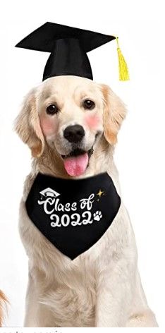Photo 1 of (X6) Graduation Cap for Dogs 2022 Dog Graduation Bandana Necktie Dog Graduation Hats with Yellow Tassel
