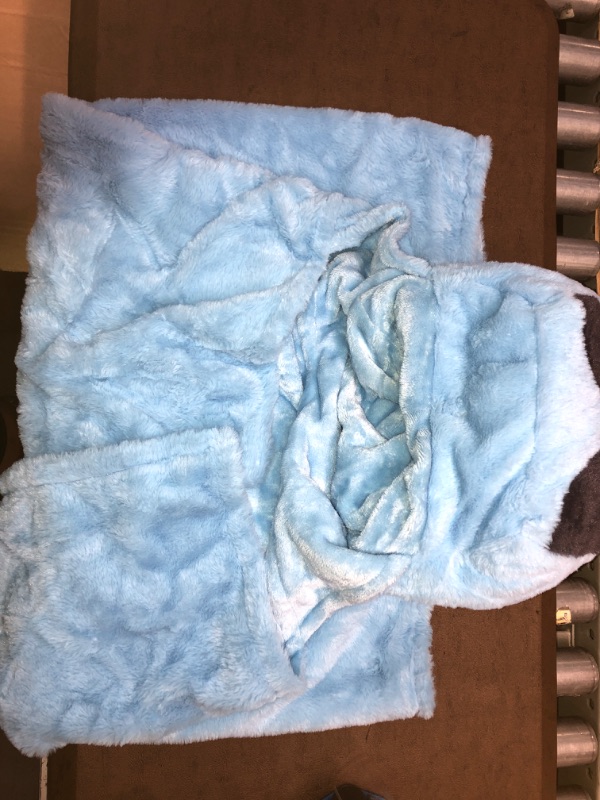 Photo 2 of Bluey Hooded Blanket
