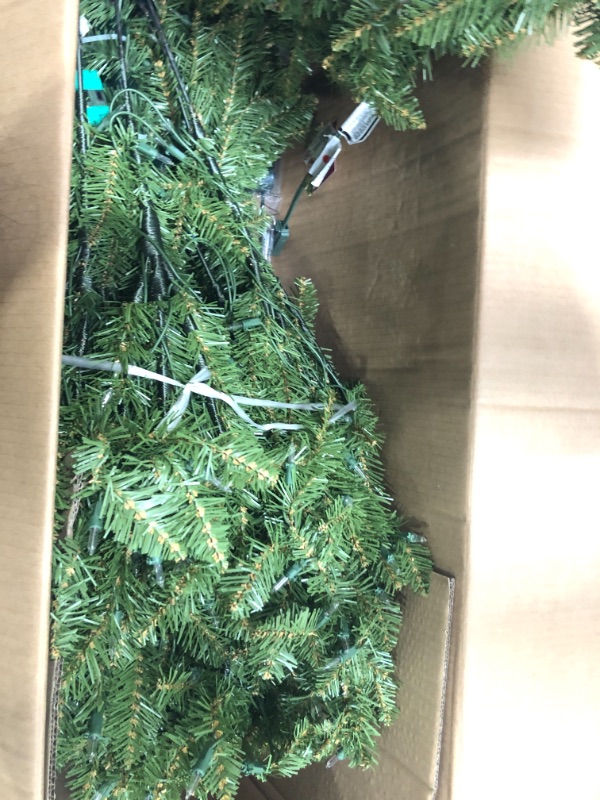 Photo 3 of 6.5’ Pre-Lit Dunhill Fir Artificial Christmas Tree – Clear Lights
