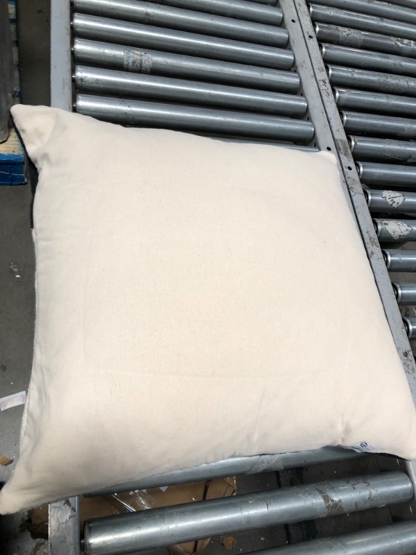 Photo 1 of 22"X22" PILLOW