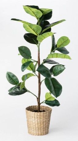 Photo 1 of 3.1' Artificial Rubber Leaf Tree in Pot Green - Threshold™ designed with Studio McGee  37.5 Inches (H) x 18 Inches (W) x 16 Inches (D)

