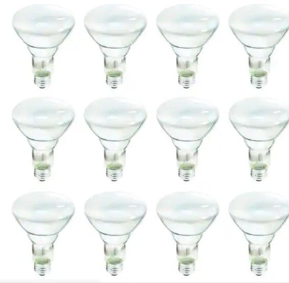 Photo 1 of Philips
65-Watt Incandescent BR30 Flood Light Bulb Soft White (2700K) (12-Pack)