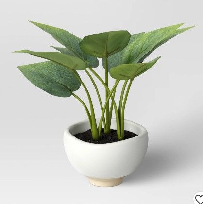 Photo 1 of 3 PACK) 2X Small Leaf in Footed Planter - Threshold™ + Small Snake Plant in Ceramic Pot White - Threshold™